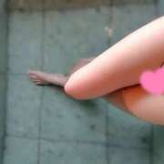 ヒメ日記 2025/08/23 18:19 投稿 ひなた 小田原人妻城