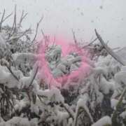 ヒメ日記 2026/02/09 17:04 投稿 ひなた 小田原人妻城