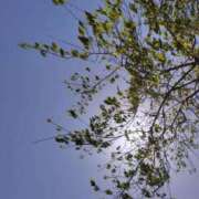 ヒメ日記 2026/02/13 22:19 投稿 ひなた 小田原人妻城