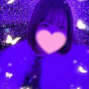 ヒメ日記 2024/12/29 18:57 投稿 のぞみ 所沢東村山ちゃんこ