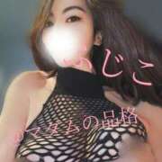 ヒメ日記 2024/12/12 19:21 投稿 ふじこ マダムの品格