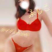 ヒメ日記 2024/12/17 14:53 投稿 ふじこ マダムの品格