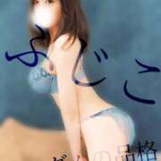 ヒメ日記 2024/12/22 15:57 投稿 ふじこ マダムの品格