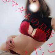 ヒメ日記 2025/01/04 16:03 投稿 ふじこ マダムの品格