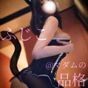 ヒメ日記 2025/01/09 01:32 投稿 ふじこ マダムの品格