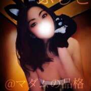 ヒメ日記 2025/01/12 15:26 投稿 ふじこ マダムの品格