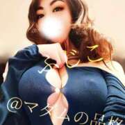 ヒメ日記 2025/02/08 23:41 投稿 ふじこ マダムの品格