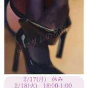 ヒメ日記 2025/02/17 01:36 投稿 ふじこ マダムの品格