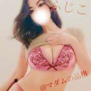 ヒメ日記 2025/02/19 15:20 投稿 ふじこ マダムの品格