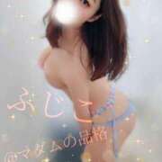 ヒメ日記 2025/03/08 16:11 投稿 ふじこ マダムの品格