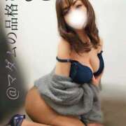 ヒメ日記 2025/04/13 18:45 投稿 ふじこ マダムの品格