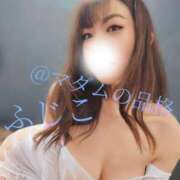 ヒメ日記 2025/04/16 18:54 投稿 ふじこ マダムの品格