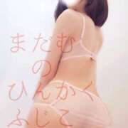 ヒメ日記 2025/04/19 09:47 投稿 ふじこ マダムの品格