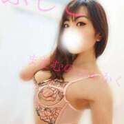 ヒメ日記 2025/04/27 03:00 投稿 ふじこ マダムの品格