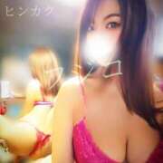 ヒメ日記 2025/05/04 14:49 投稿 ふじこ マダムの品格