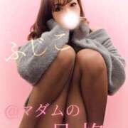 ヒメ日記 2025/05/12 09:35 投稿 ふじこ マダムの品格