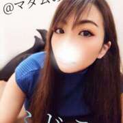 ヒメ日記 2025/05/15 10:02 投稿 ふじこ マダムの品格