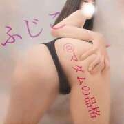 ヒメ日記 2025/05/17 17:45 投稿 ふじこ マダムの品格