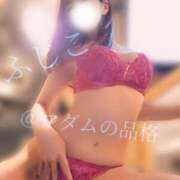 ヒメ日記 2025/06/01 03:29 投稿 ふじこ マダムの品格