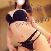 ヒメ日記 2025/06/08 15:42 投稿 ふじこ マダムの品格