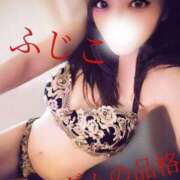 ヒメ日記 2025/06/16 05:42 投稿 ふじこ マダムの品格