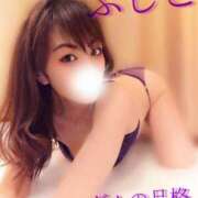 ヒメ日記 2025/06/24 06:12 投稿 ふじこ マダムの品格