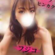 ヒメ日記 2025/06/29 12:05 投稿 ふじこ マダムの品格