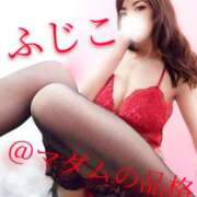 ヒメ日記 2025/06/30 15:53 投稿 ふじこ マダムの品格