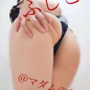 ヒメ日記 2025/07/07 11:10 投稿 ふじこ マダムの品格