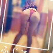 ヒメ日記 2025/07/08 13:04 投稿 ふじこ マダムの品格