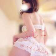 ヒメ日記 2025/07/09 01:10 投稿 ふじこ マダムの品格