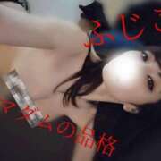 ヒメ日記 2025/07/11 06:37 投稿 ふじこ マダムの品格