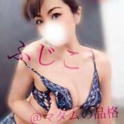 ヒメ日記 2025/07/24 18:31 投稿 ふじこ マダムの品格