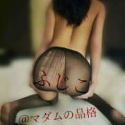 ヒメ日記 2025/07/28 15:21 投稿 ふじこ マダムの品格