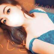 ヒメ日記 2025/07/30 21:27 投稿 ふじこ マダムの品格