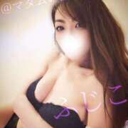 ヒメ日記 2025/08/20 17:15 投稿 ふじこ マダムの品格