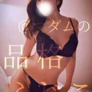 ヒメ日記 2025/08/22 08:12 投稿 ふじこ マダムの品格