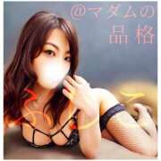 ヒメ日記 2025/08/29 14:17 投稿 ふじこ マダムの品格