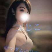 ヒメ日記 2025/09/10 15:45 投稿 ふじこ マダムの品格