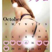 ヒメ日記 2025/10/13 01:12 投稿 ふじこ マダムの品格