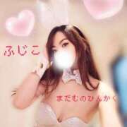 ヒメ日記 2025/10/17 19:00 投稿 ふじこ マダムの品格