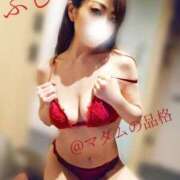 ヒメ日記 2025/11/01 15:37 投稿 ふじこ マダムの品格