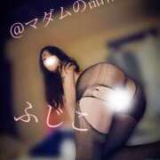 ヒメ日記 2025/11/01 23:43 投稿 ふじこ マダムの品格