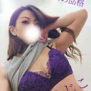 ヒメ日記 2025/11/02 05:23 投稿 ふじこ マダムの品格