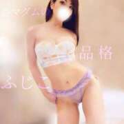 ヒメ日記 2025/11/06 15:25 投稿 ふじこ マダムの品格