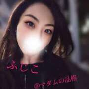 ヒメ日記 2025/11/11 23:16 投稿 ふじこ マダムの品格