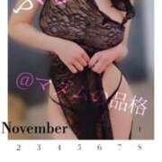 ヒメ日記 2025/11/16 01:03 投稿 ふじこ マダムの品格