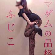 ヒメ日記 2025/11/16 15:35 投稿 ふじこ マダムの品格