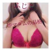 ヒメ日記 2025/11/17 18:49 投稿 ふじこ マダムの品格