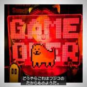 ヒメ日記 2025/11/17 23:45 投稿 ふじこ マダムの品格